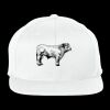 NEW ERA® FLAT BILL SNAPBACK CAP Thumbnail
