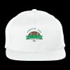NEW ERA® FLAT BILL SNAPBACK CAP Thumbnail