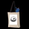 11L Canvas Tote with Contrast-Color Handles Thumbnail