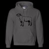 Unisex DryBlend® Hooded Sweatshirt Thumbnail