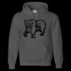Unisex DryBlend® Hooded Sweatshirt Thumbnail