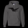 Unisex DryBlend® Hooded Sweatshirt Thumbnail