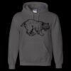Unisex DryBlend® Hooded Sweatshirt Thumbnail
