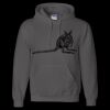 Unisex DryBlend® Hooded Sweatshirt Thumbnail