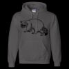 Unisex DryBlend® Hooded Sweatshirt Thumbnail