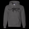 Unisex DryBlend® Hooded Sweatshirt Thumbnail