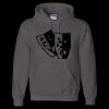 Unisex DryBlend® Hooded Sweatshirt Thumbnail
