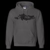 Unisex DryBlend® Hooded Sweatshirt Thumbnail