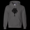 Unisex DryBlend® Hooded Sweatshirt Thumbnail