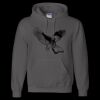 Unisex DryBlend® Hooded Sweatshirt Thumbnail