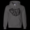 Unisex DryBlend® Hooded Sweatshirt Thumbnail