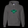 Unisex DryBlend® Hooded Sweatshirt Thumbnail