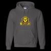 Unisex DryBlend® Hooded Sweatshirt Thumbnail