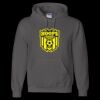 Unisex DryBlend® Hooded Sweatshirt Thumbnail