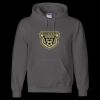Unisex DryBlend® Hooded Sweatshirt Thumbnail