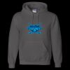 Unisex DryBlend® Hooded Sweatshirt Thumbnail
