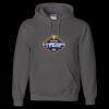 Unisex DryBlend® Hooded Sweatshirt Thumbnail