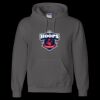 Unisex DryBlend® Hooded Sweatshirt Thumbnail