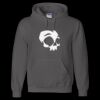 Unisex DryBlend® Hooded Sweatshirt Thumbnail