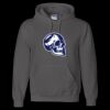 Unisex DryBlend® Hooded Sweatshirt Thumbnail