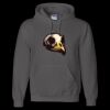 Unisex DryBlend® Hooded Sweatshirt Thumbnail