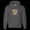 Unisex DryBlend® Hooded Sweatshirt Thumbnail