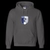 Unisex DryBlend® Hooded Sweatshirt Thumbnail