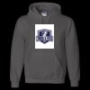 Unisex DryBlend® Hooded Sweatshirt Thumbnail