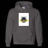 Unisex DryBlend® Hooded Sweatshirt Thumbnail