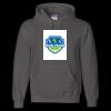 Unisex DryBlend® Hooded Sweatshirt Thumbnail