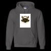 Unisex DryBlend® Hooded Sweatshirt Thumbnail
