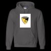 Unisex DryBlend® Hooded Sweatshirt Thumbnail