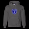 Unisex DryBlend® Hooded Sweatshirt Thumbnail