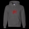Unisex DryBlend® Hooded Sweatshirt Thumbnail