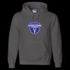Unisex DryBlend® Hooded Sweatshirt Thumbnail