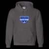 Unisex DryBlend® Hooded Sweatshirt Thumbnail