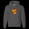 Unisex DryBlend® Hooded Sweatshirt Thumbnail