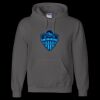Unisex DryBlend® Hooded Sweatshirt Thumbnail
