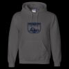 Unisex DryBlend® Hooded Sweatshirt Thumbnail