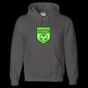 Unisex DryBlend® Hooded Sweatshirt Thumbnail