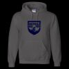 Unisex DryBlend® Hooded Sweatshirt Thumbnail