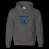 Unisex DryBlend® Hooded Sweatshirt Thumbnail