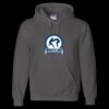 Unisex DryBlend® Hooded Sweatshirt Thumbnail