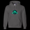 Unisex DryBlend® Hooded Sweatshirt Thumbnail