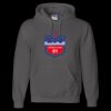 Unisex DryBlend® Hooded Sweatshirt Thumbnail