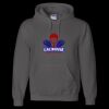 Unisex DryBlend® Hooded Sweatshirt Thumbnail