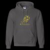 Unisex DryBlend® Hooded Sweatshirt Thumbnail