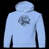 Youth Heavy Blend™ Hooded Sweatshirt Thumbnail