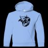 Youth Heavy Blend™ Hooded Sweatshirt Thumbnail