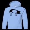Youth Heavy Blend™ Hooded Sweatshirt Thumbnail
